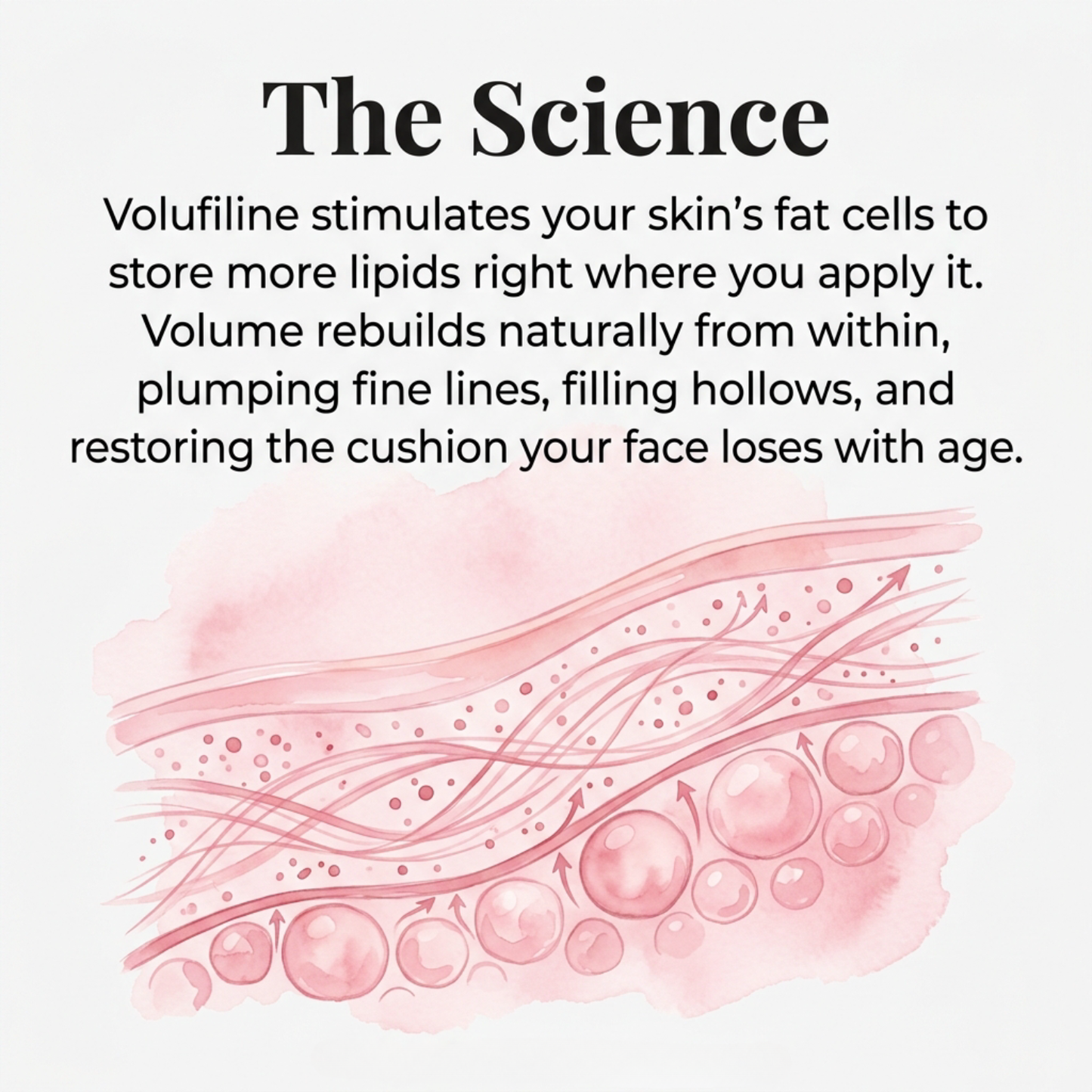 Cirevona™ Collagen Volume Multi Balm